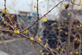 立春のころ 校長ブログ