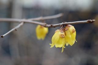 立春のころ 校長ブログ