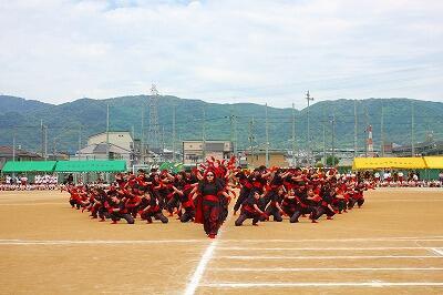 20250606 (14).jpg