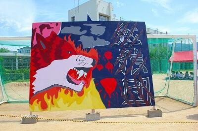 20250606 (3).jpg