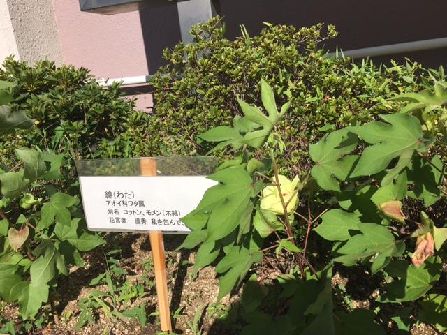https://www.osaka-c.ed.jp/blog/higashimozu/kouchou/0803IMG_6058.JPG