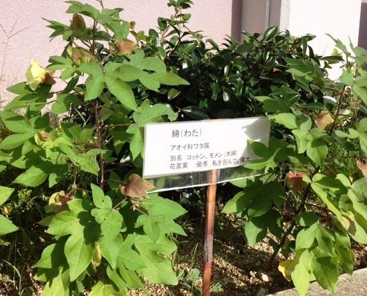 https://www.osaka-c.ed.jp/blog/higashimozu/kouchou/0831008.jpg