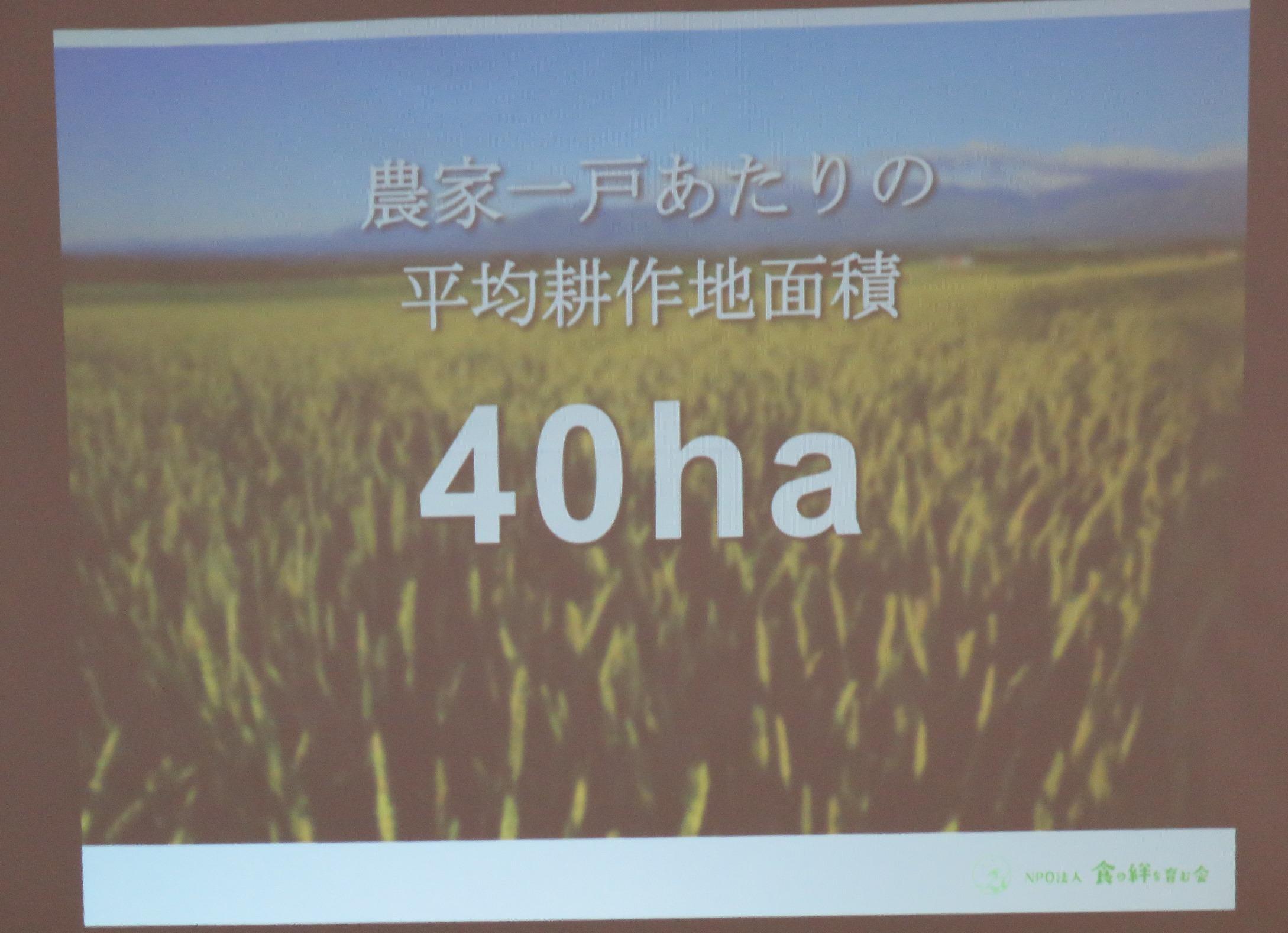 https://www.osaka-c.ed.jp/blog/higashimozu/kouchou/10IMG_2579.jpg