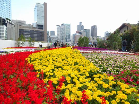 https://www.osaka-c.ed.jp/blog/higashimozu/kouchou/DSC00011.jpg