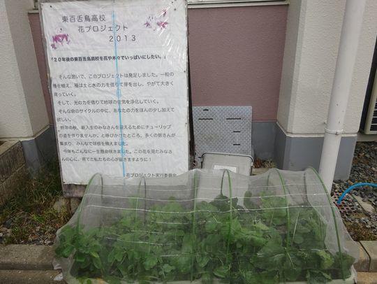 https://www.osaka-c.ed.jp/blog/higashimozu/kouchou/DSC02199.jpg
