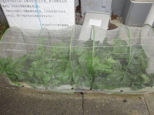 https://www.osaka-c.ed.jp/blog/higashimozu/kouchou/DSC02200.jpg