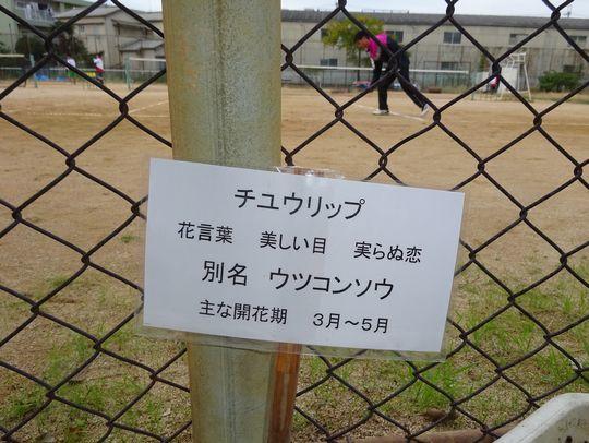 https://www.osaka-c.ed.jp/blog/higashimozu/kouchou/DSC02284.jpg