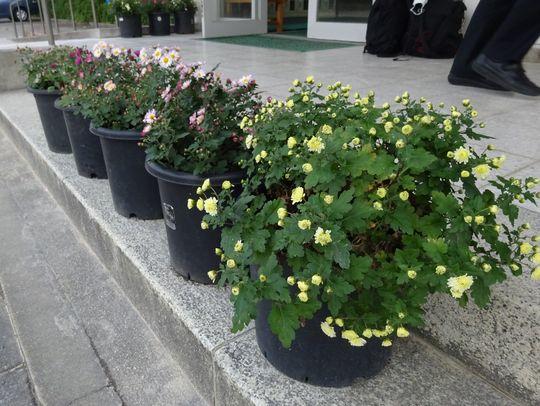 https://www.osaka-c.ed.jp/blog/higashimozu/kouchou/DSC02286.jpg