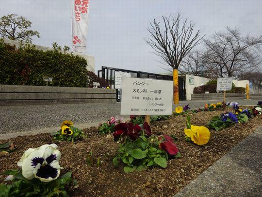 https://www.osaka-c.ed.jp/blog/higashimozu/kouchou/DSC02818.jpg