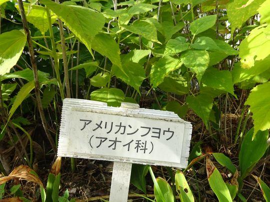 https://www.osaka-c.ed.jp/blog/higashimozu/kouchou/DSC03434.jpg