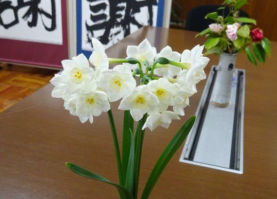 https://www.osaka-c.ed.jp/blog/higashimozu/kouchou/DSC04138.jpg