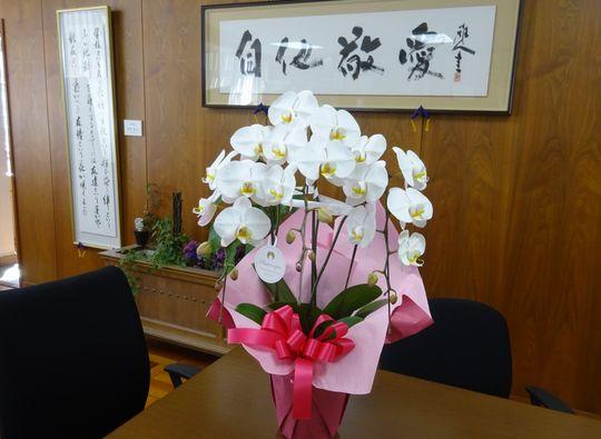 https://www.osaka-c.ed.jp/blog/higashimozu/kouchou/DSC04451_1.jpg