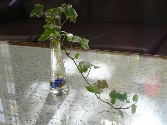 https://www.osaka-c.ed.jp/blog/higashimozu/kouchou/DSC04912.jpg