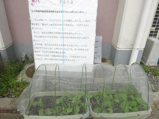 https://www.osaka-c.ed.jp/blog/higashimozu/kouchou/DSC06332.jpg