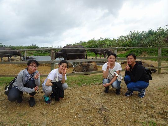https://www.osaka-c.ed.jp/blog/higashimozu/kouchou/DSC06787.jpg
