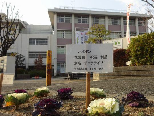 https://www.osaka-c.ed.jp/blog/higashimozu/kouchou/DSC09054.jpg