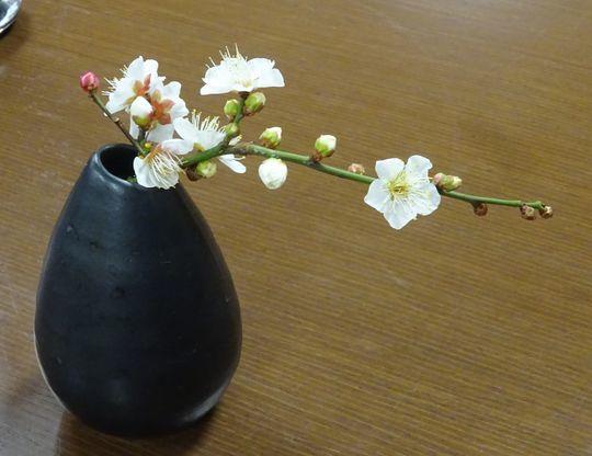 https://www.osaka-c.ed.jp/blog/higashimozu/kouchou/DSC09473_1.jpg