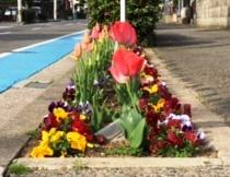 https://www.osaka-c.ed.jp/blog/higashimozu/kouchou/IMG_3714.JPG_4.jpg