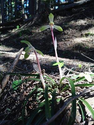 https://www.osaka-c.ed.jp/blog/higashimozu/kouchou/IMG_4387.JPG_2.jpg