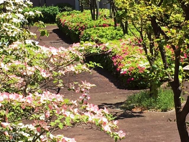 https://www.osaka-c.ed.jp/blog/higashimozu/kouchou/dee9bcbe345c2f7424880f1c5ee1bebe.jpg