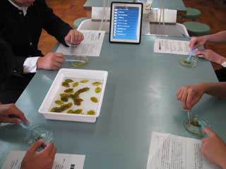op2011_1.jpg