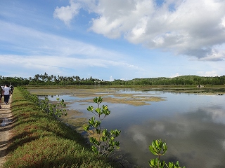 DSC06009.jpg