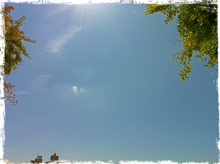 20120803 夏空.png