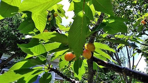 IMG_20200519_113014.jpg