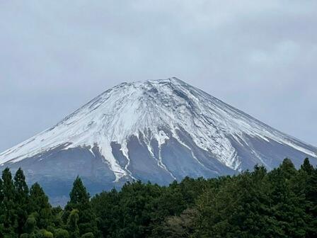 IMG_20221025_143951_(448_x_336_ピクセル).jpg