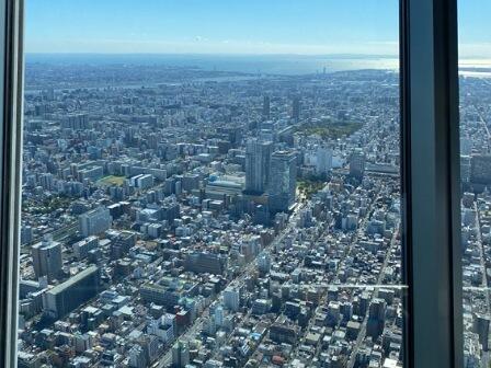 IMG_20221026_112034_(448_x_336_ピクセル).jpg