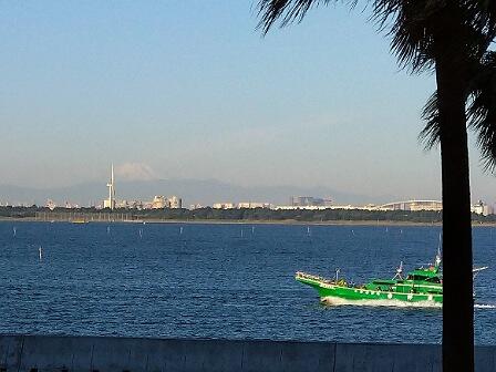 IMG_20221027_070844_(448_x_336_ピクセル).jpg