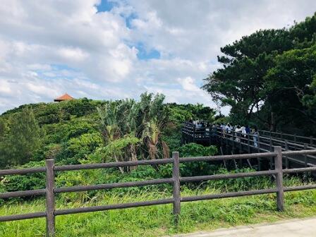 IMG_20231119_170758_(448_x_336_ピクセル).jpg
