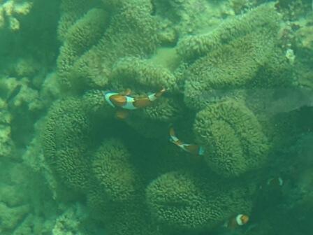 IMG_20231119_170939_(448_x_336_ピクセル).jpg