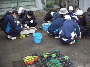 2008-01-01 001 004.JPG