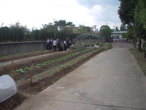 大阪府立柴島高等学校