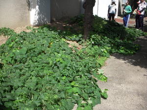 2008-01-01 001 006.JPG