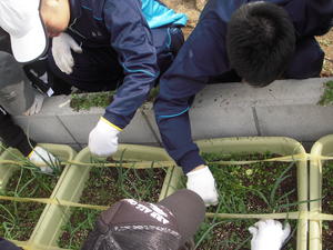 2008-01-01 001 003.JPG