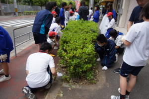 DSC08166.JPG