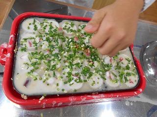 DSCN0012.jpg