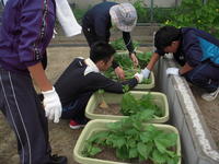 DSCN0016.JPG