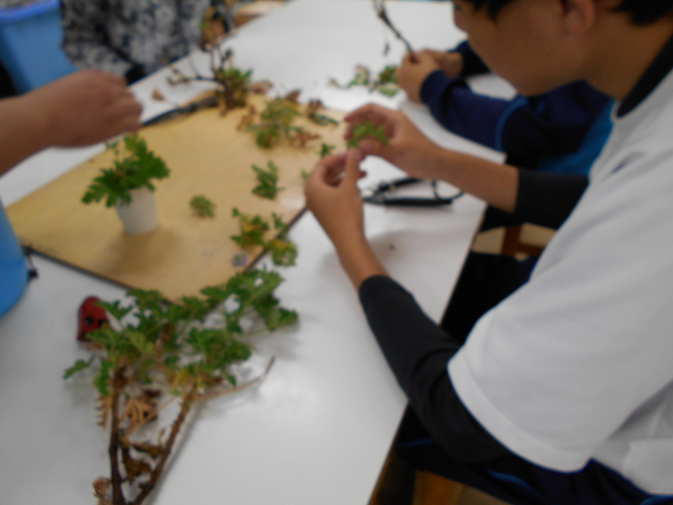 DSCN1587.JPG