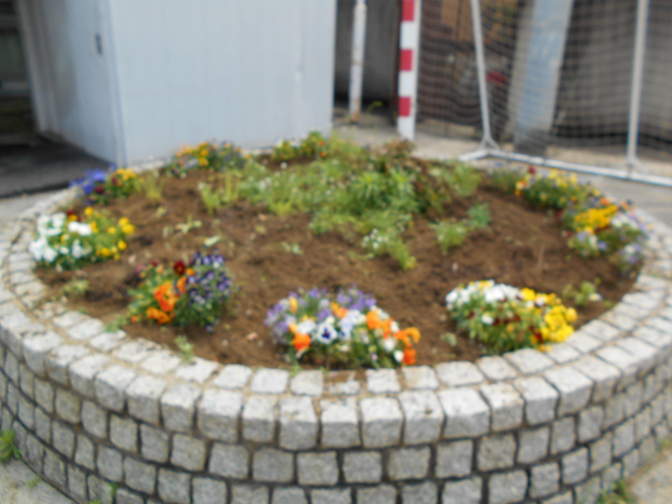 DSCN1613.JPG