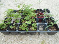 DSCN1658.JPG