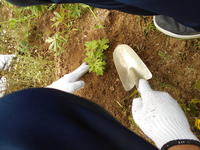 DSCN1664.JPG