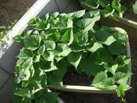 DSCN4096.JPG