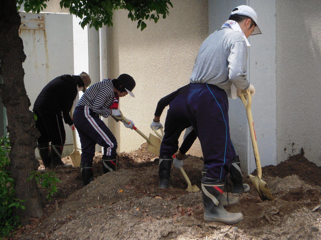 DSCN4098.JPG