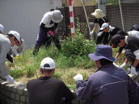 DSCN4103.JPG