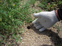 DSCN4105.JPG