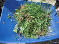 DSCN4106.JPG