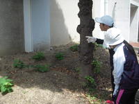 DSCN4112.JPG